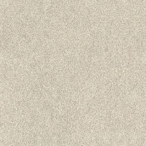 8195_24_additional image_new.jpg image